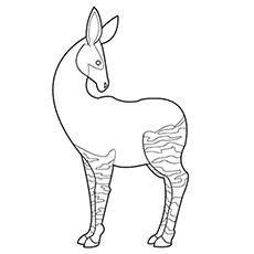 okapi coloring pages