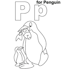 Penguin, letter P coloring page