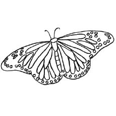 painted lady butterfly coloring page