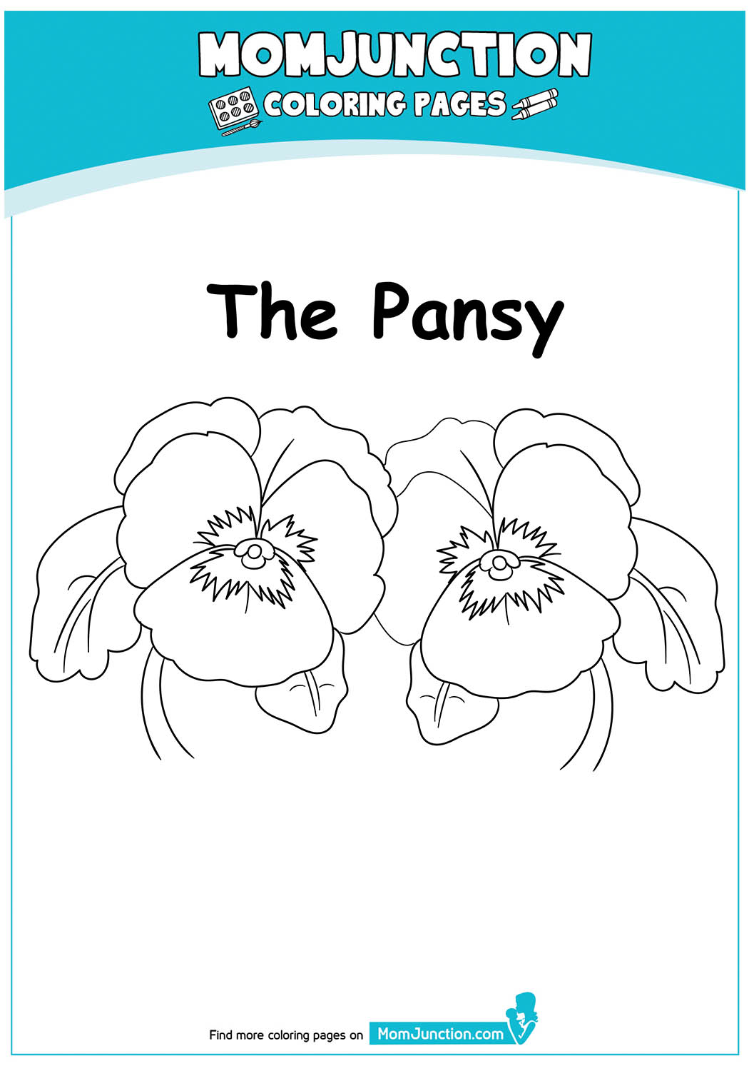 The-Pansy-17
