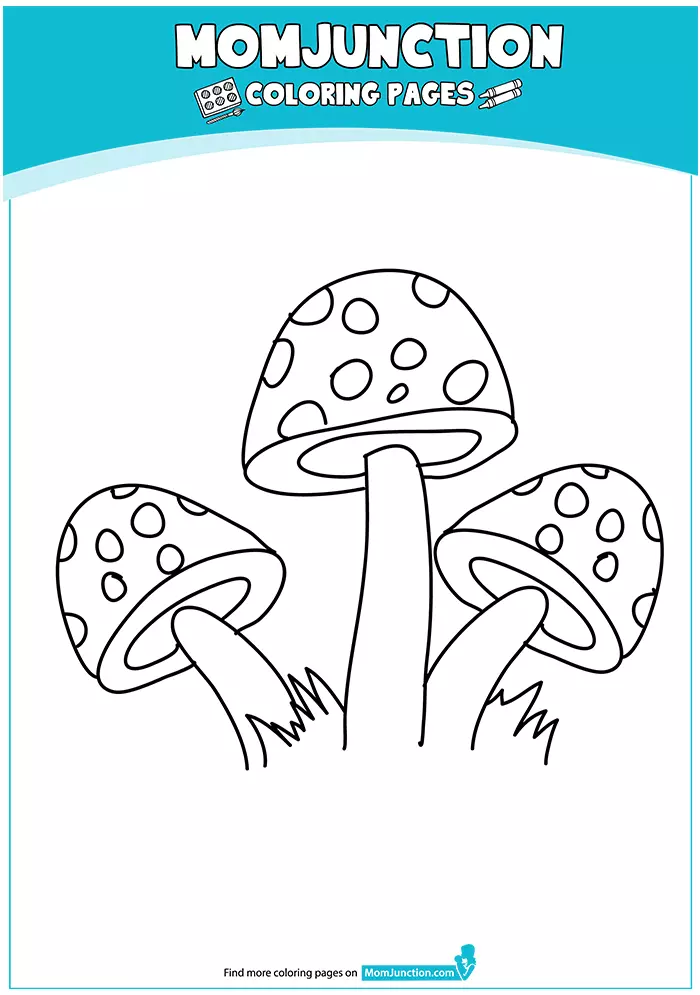 The-Polka-Dotted-Mushrooms-16