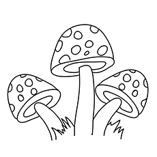 The Polka Dotted Mushrooms coloring page