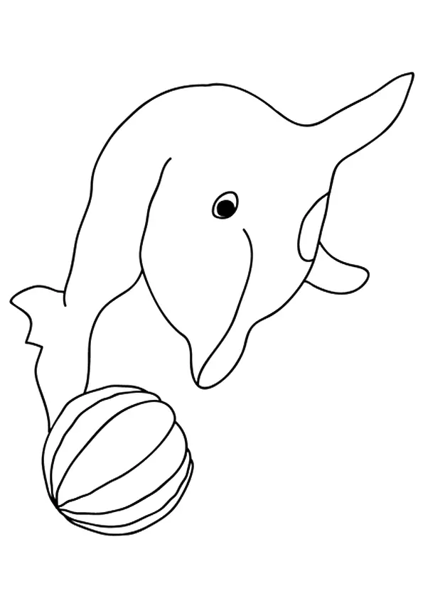 The-Porpoise