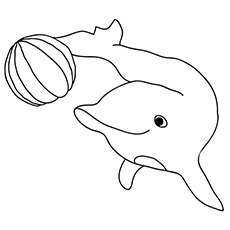 Porpoise coloring page