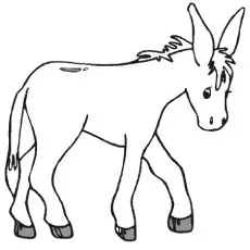 The roaming donkey colorimg page