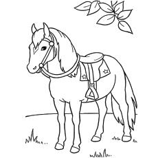 horse to color for kids