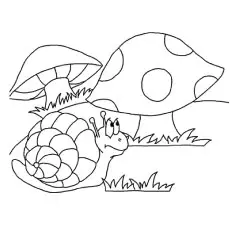 The Snail in Mushroom Land coloring page