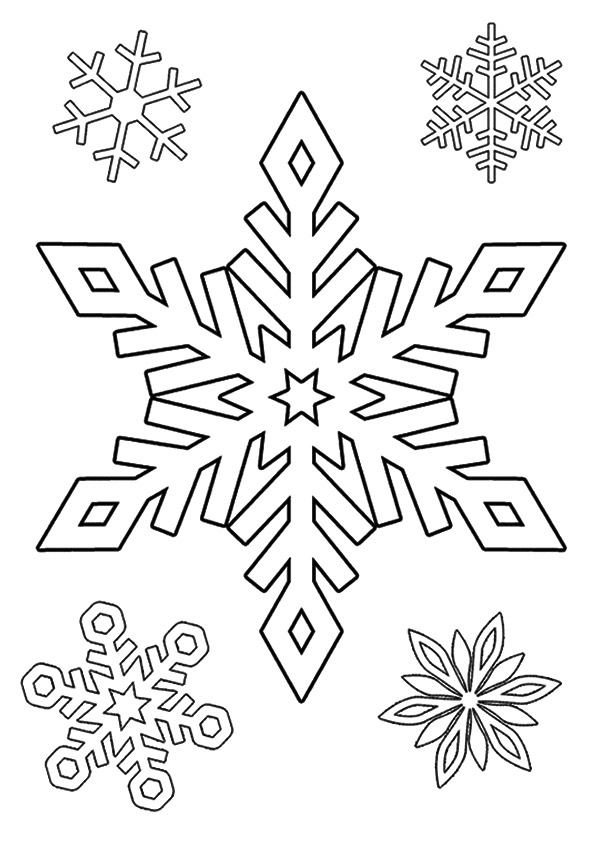 The-Snowflake