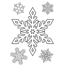 Snowflake sheet in winter coloring page