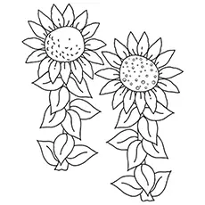 Sunflowers coloring page_image