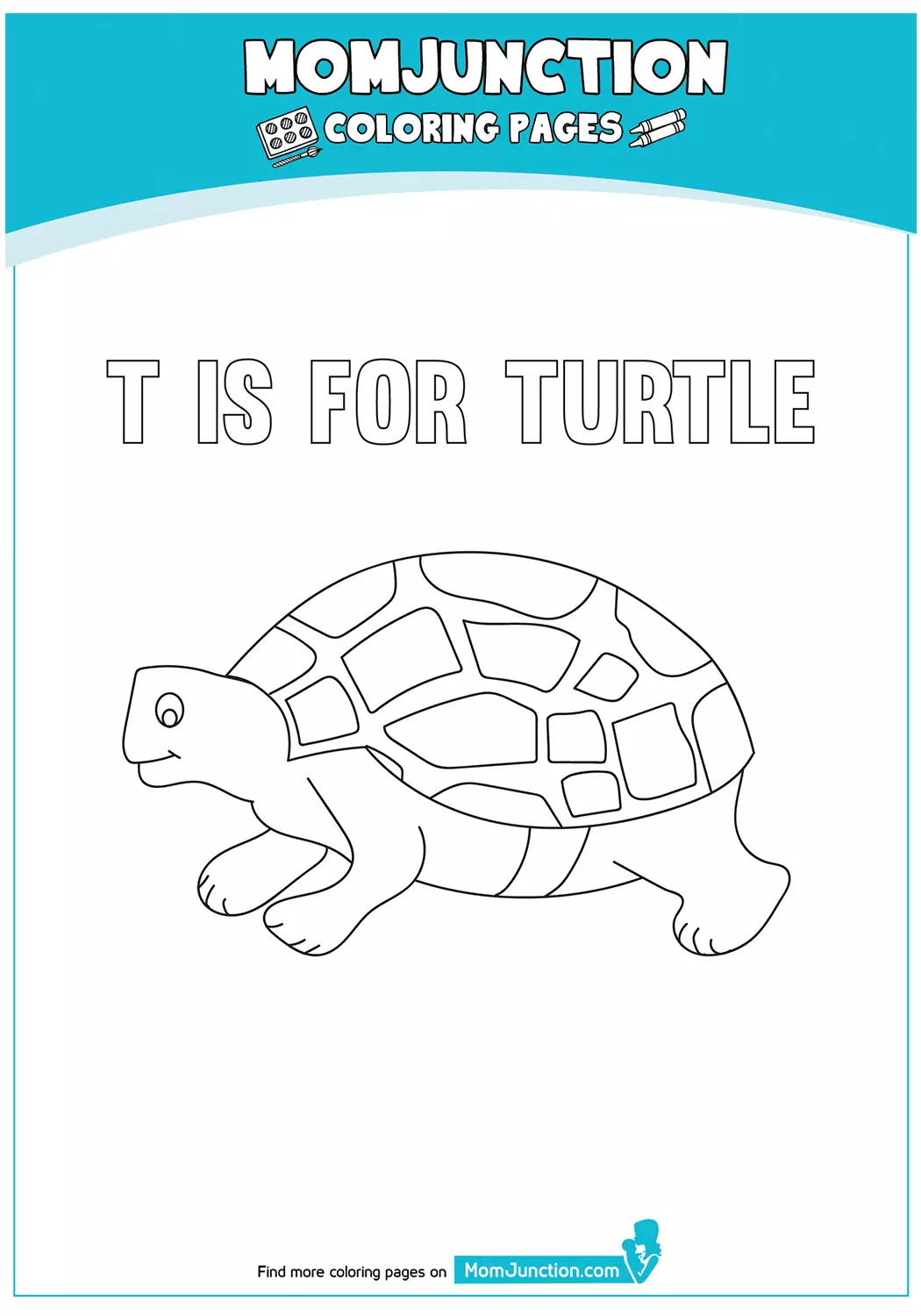 The-T-For-Turtle-17