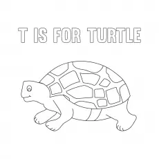 Turtle, letter T coloring pages