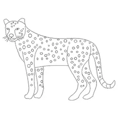 Big cheetah coloring page