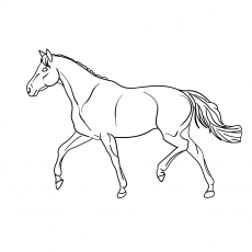 The Trotting horse coloring page