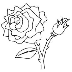 Coloring Page of Valentines Rose