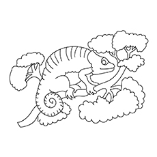 Chameleon sitting on a tree coloring page