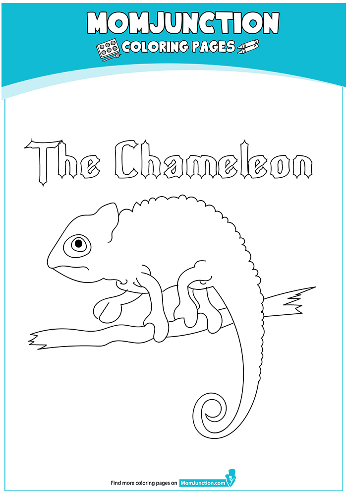 The-chameleon-walking-on-the-tree-16