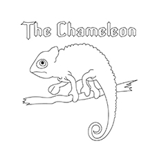 Chameleon walking on a tree coloring page
