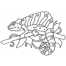 Chameleon with lines coloring page