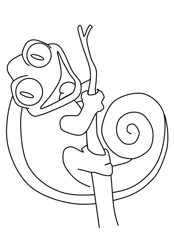 The-coiled-smiling-chameleon