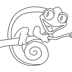 Coiled chameleon coloring page