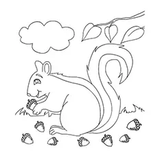 Squirrel with acorn during Fall season coloring page