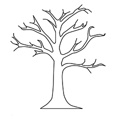 Fall tree coloring page