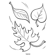 Falling leaves Fall coloring page