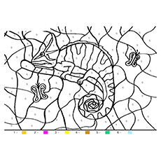 Chameleon and fun with numbers coloring page