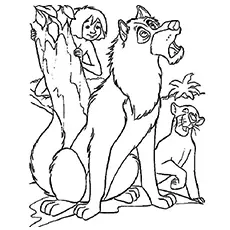 Jungle bool wolf coloring page