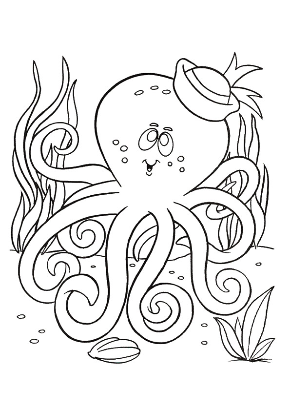 The-sailor-octopus