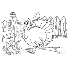 Turkey in farm coloring page