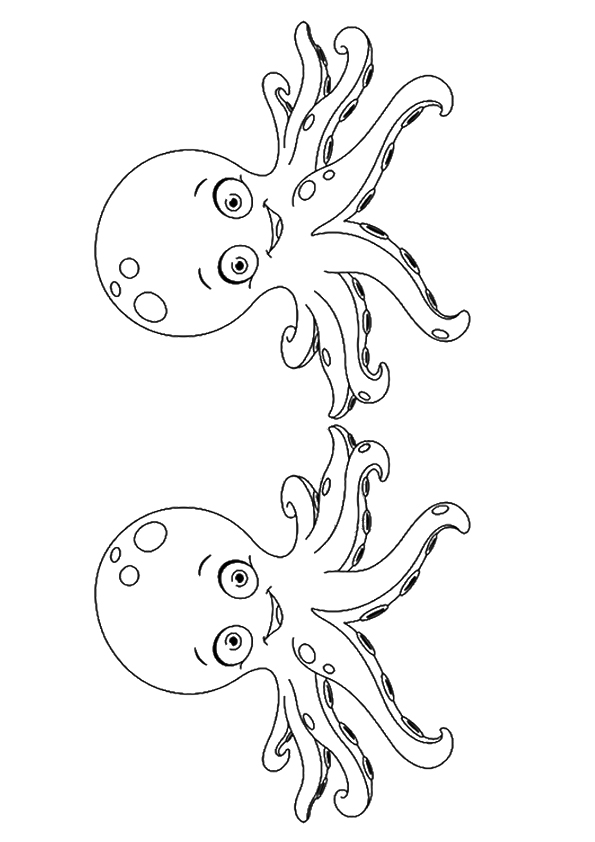The-two-octopuses