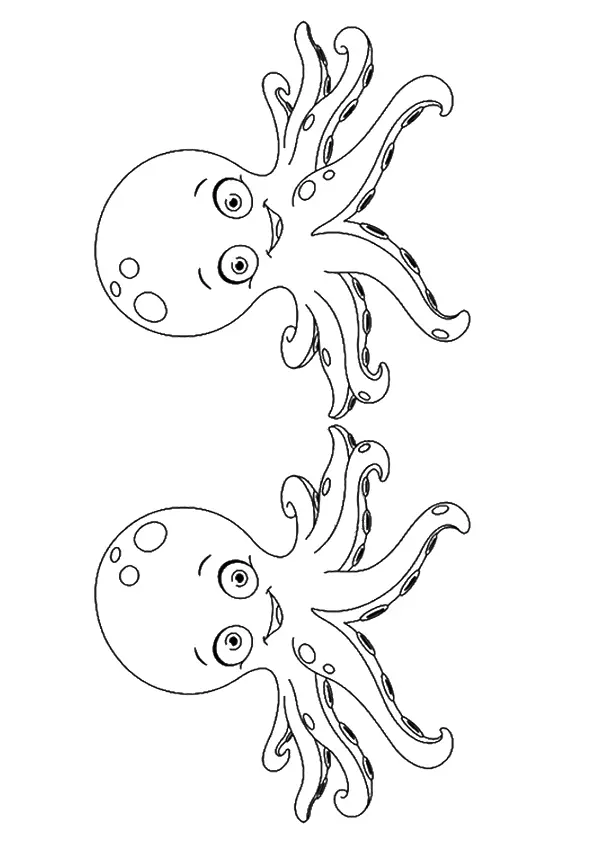 The-two-octopuses