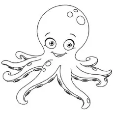 Octopus picture for coloring page