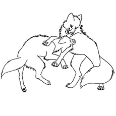 Wolf fighting coloring page