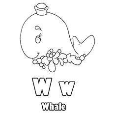 The-‘W’-For-Whale