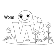 The-‘W’-For-Worm