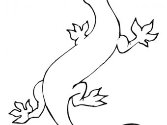 Top 10 Lizard Coloring Pages For Your Little Ones
