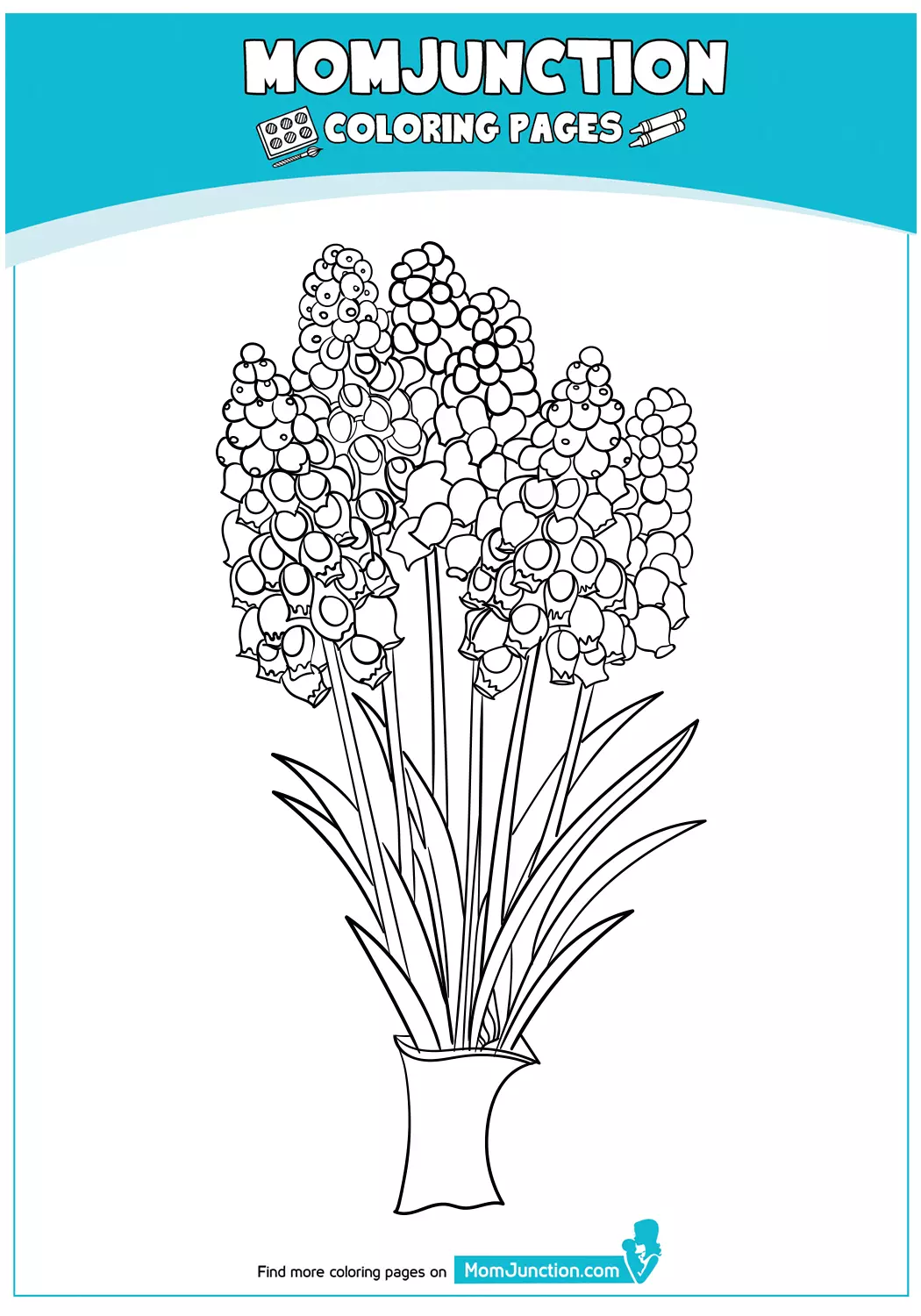 Type-of-Flowers
