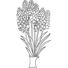 Download Top 47 Free Printable Flowers Coloring Pages Online