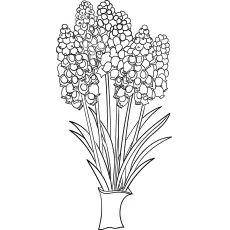 Lupine flowers coloring page_image