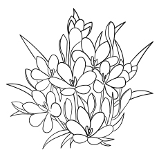 Violet flowers coloring page
