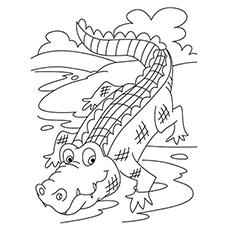 cartoon crocodile coloring pages