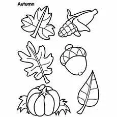 Autumn seasonal fruits Fall coloring page