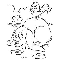 Bird on bunny coloring page