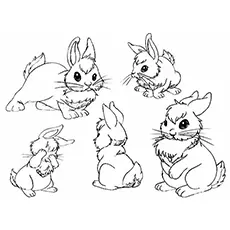Bunnies in different postures coloring page