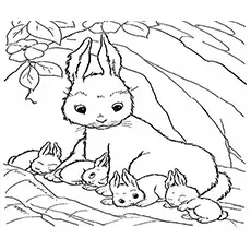 Bunny with offspring coloring page