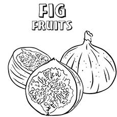 Letter F for figs, fruits, and coloring pages coloring page