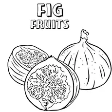 Letter F for figs, fruits, and coloring pages coloring page_image